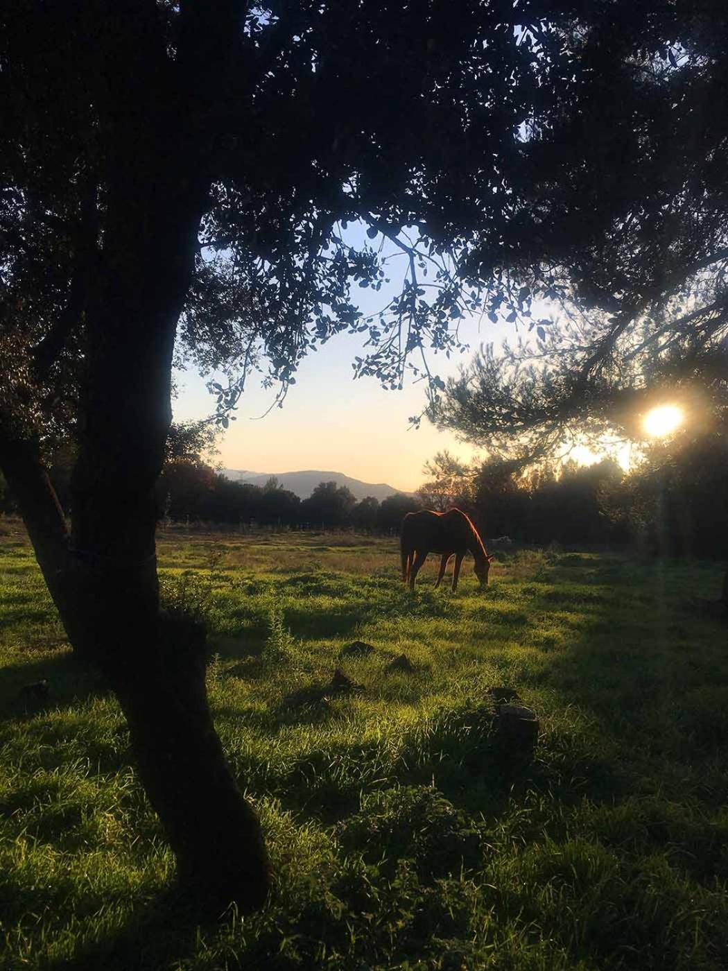 Jouques Centre Mediation Equine La Daousteヴィラ エクステリア 写真