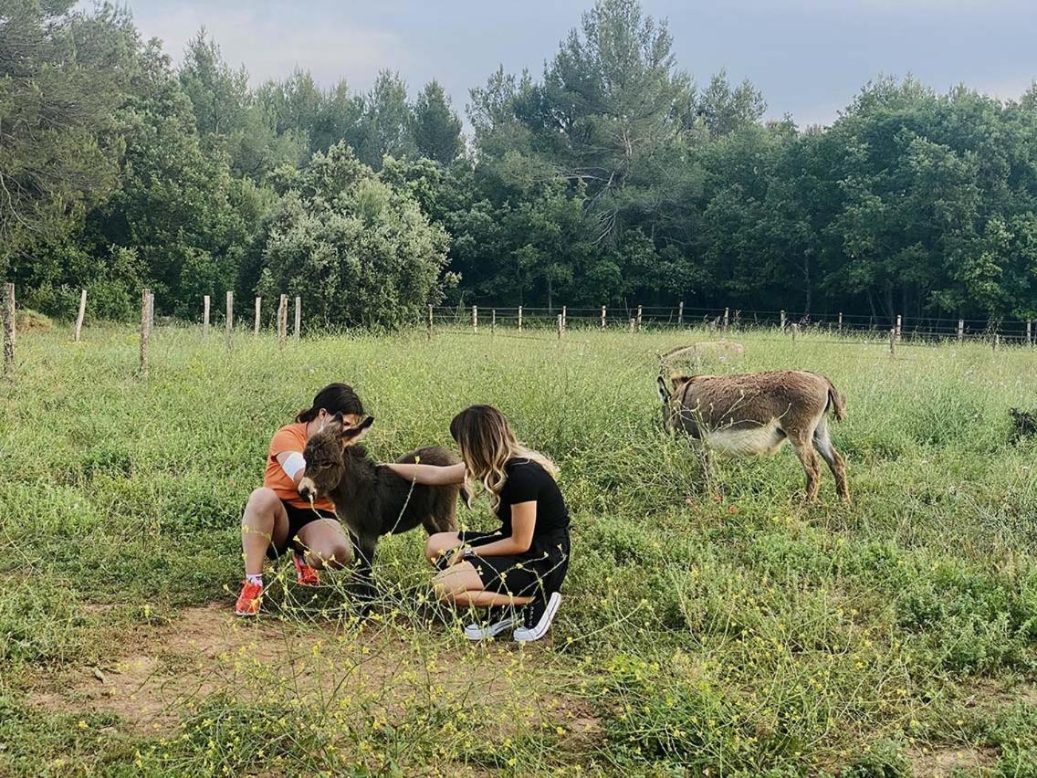 Jouques Centre Mediation Equine La Daousteヴィラ エクステリア 写真